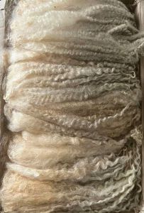 the sheep wool, Masham disassembled into strands